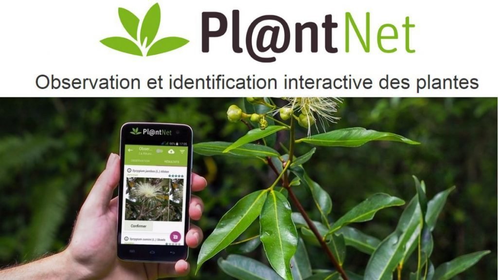 5.PlantNet | Course-Net October 7, 2022